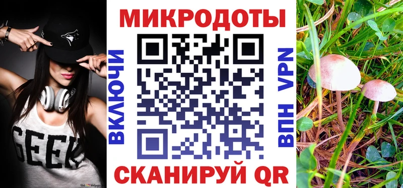 Галлюциногенные грибы Cubensis Каргат